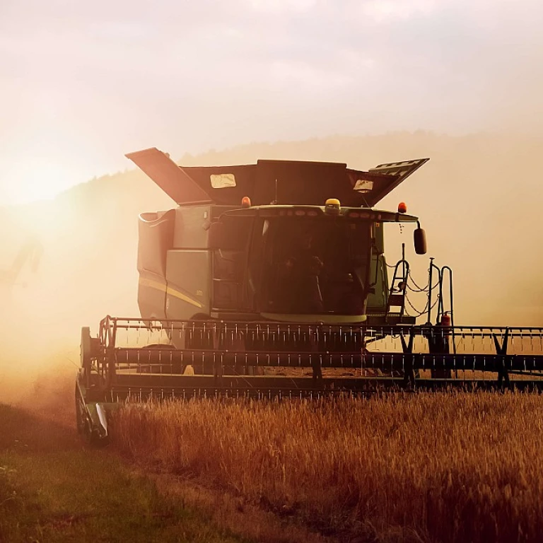 Optimisez la Gestion des Ressources en Agriculture: Comment Aligner Écologie et Rendement?