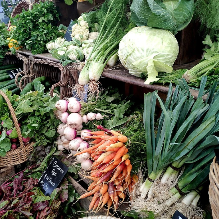 Les Innovations Techniques en Agriculture: Vers une Productivité Accrue et Écoresponsable