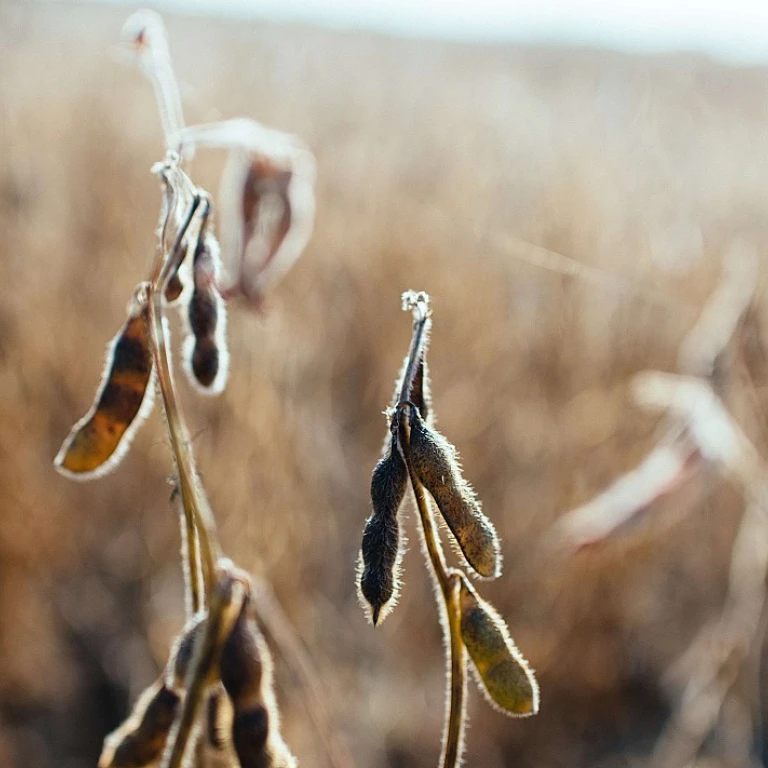 La nouvelle agriculture : une révolution dans nos champs