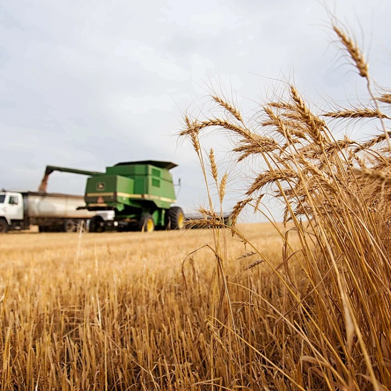 Salon de l'agriculture 2024 billetterie : tout ce que vous devez savoir