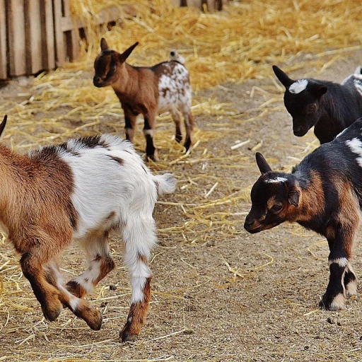 Le salon international d'agriculture : un rendez-vous incontournable