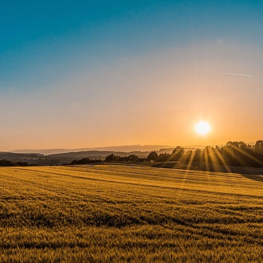 Sky agriculture : l'innovation au service de l'agriculture moderne