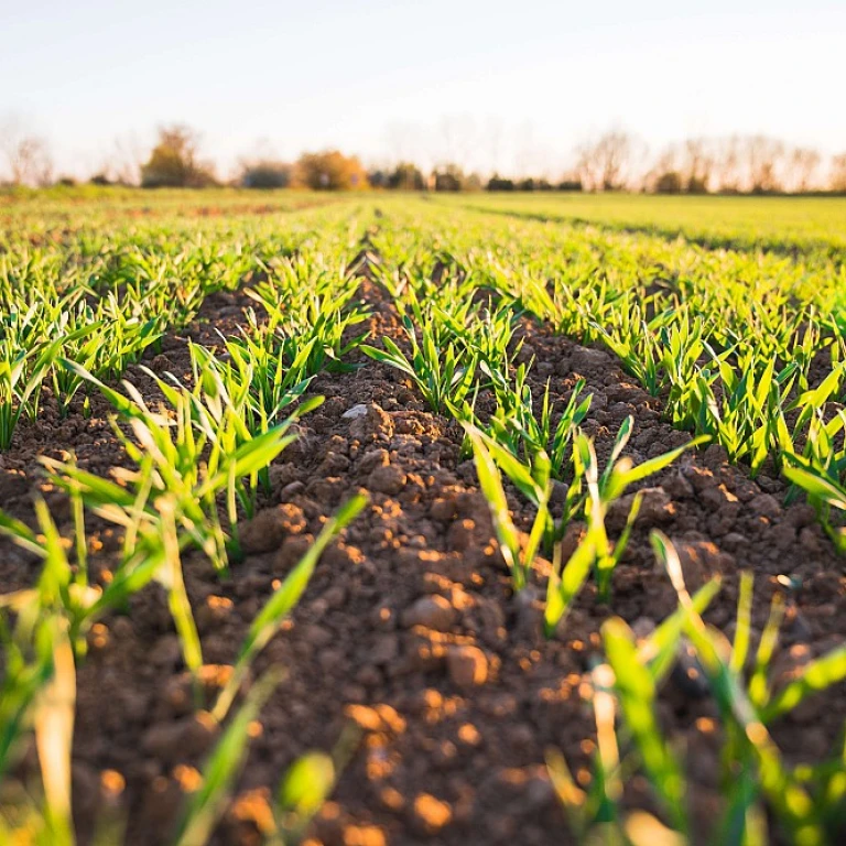 Maximisez votre efficacité : 5 stratégies de gestion du temps pour les chefs d'exploitation agricole