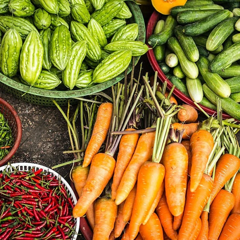 Salon de l'agriculture salon de provence : un rendez-vous incontournable pour les passionnés et les professionnels