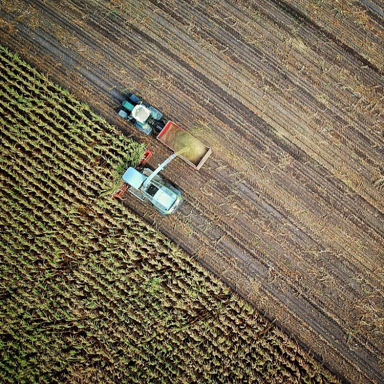 Concours agriculture : un panorama des compétitions agricoles en France