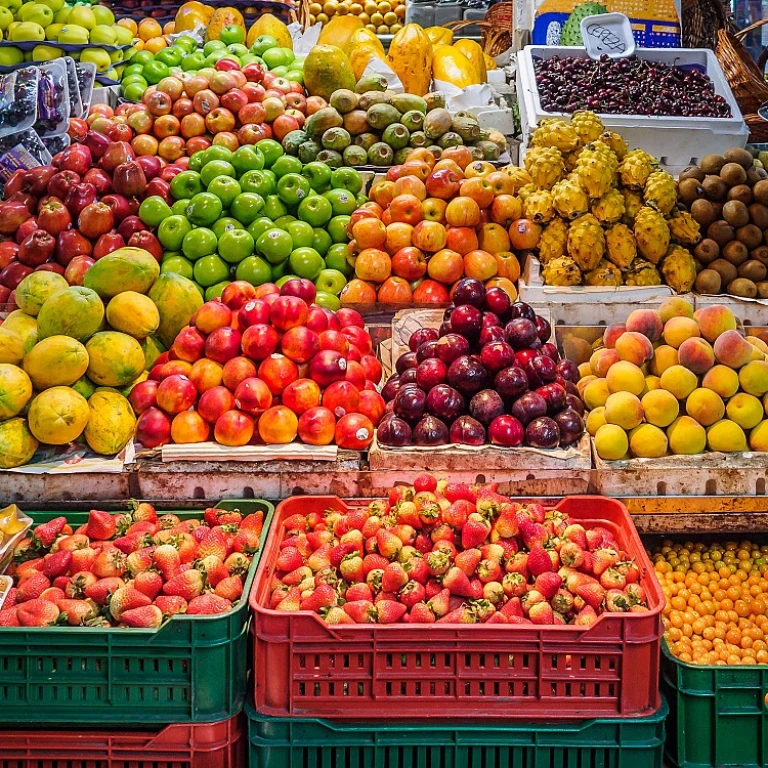 Horaire salon de l'agriculture : tout ce que vous devez savoir