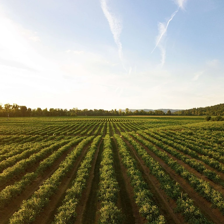 Plongez dans le salon agricole à Tarbes