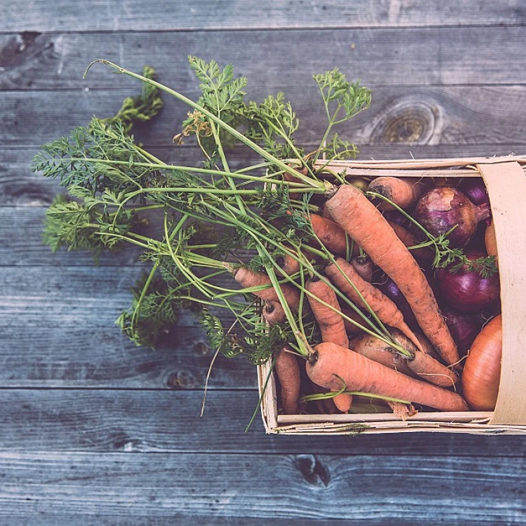 Blockchain et Traçabilité : Comment révolutionner vos cycles de production agricole ?