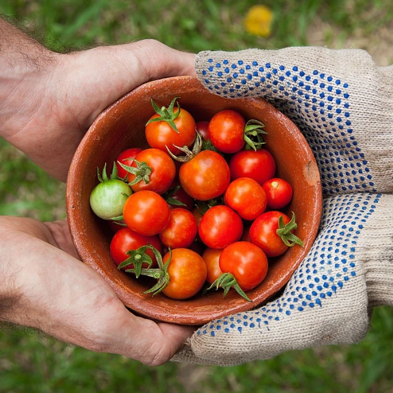 Recrutement dans l'Agriculture : 7 Stratégies Innovantes pour Attirer et Retenir les Talents