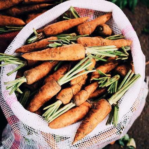 Est-ce que La Permaculture Est La Clé Pour Un Avenir Agricole Durable ? Découvrons-le Ensemble !