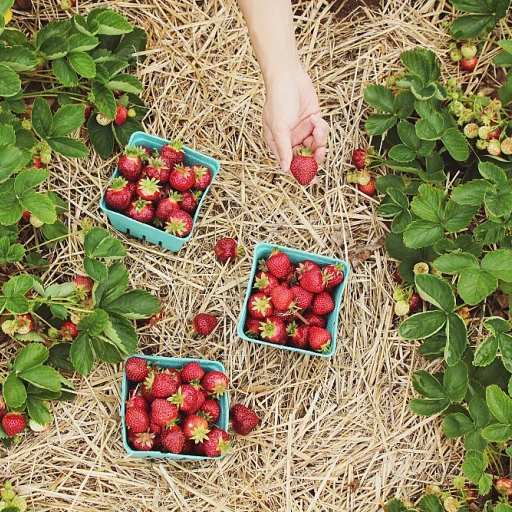 5 Solutions Ingénieuses pour Surmonter les Fluctuations des Marchés Agricoles : Prêtes à de Nouvelles Perspectives ?